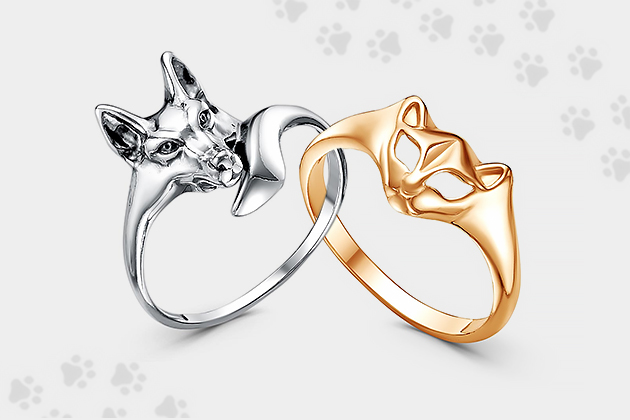 В мире животных