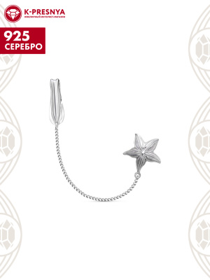 Ионизатор серебро 925 пробы, без покрытия, без вставок