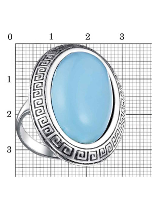 КОЛЬЦО 24313322Гх