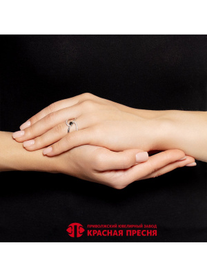 КОЛЬЦО 23816076Пл1