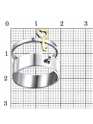 КОЛЬЦО 24013774-1